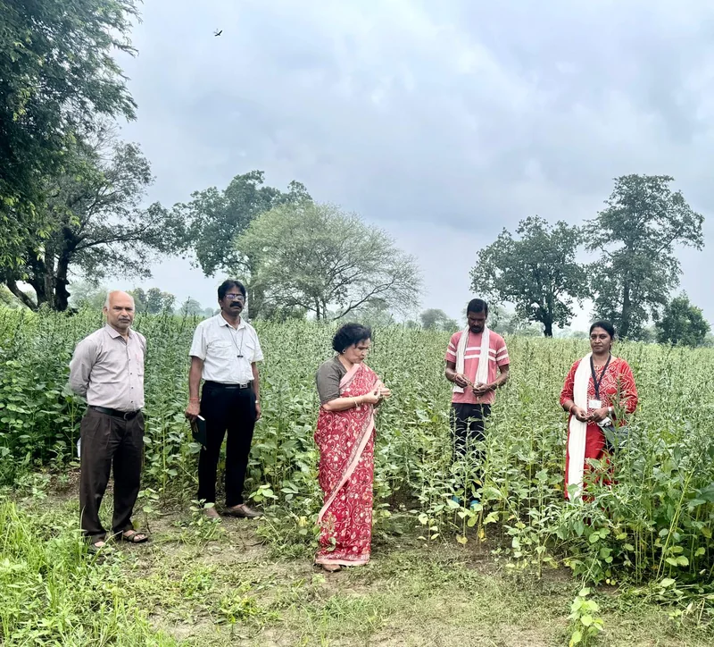 मुख्यमंत्री जनविश्वास अभियान: कृषि अधिकारियों ने ग्राम जरौंद में तिल फसल प्रदर्शन का लिया जायजा